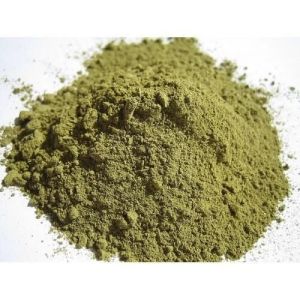 Banaba Leaf Extract