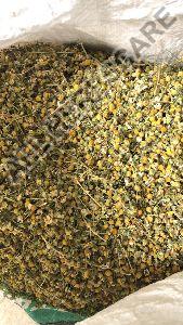 Dried Chamomile flowers