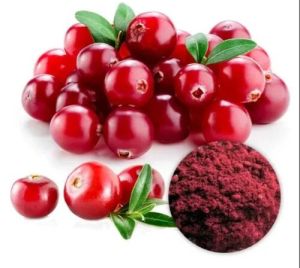 Cranberry Extract