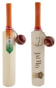 Plastic Cricket Bat Ball Set