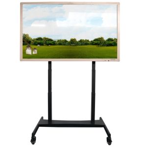 Motorized TV Floor Cart