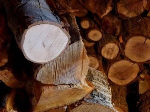 Walnut Wood Logs