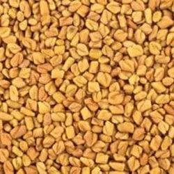 Fenugreek Seeds