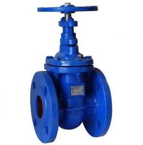 Cast Iron Gate Valve