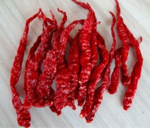 Byadgi Chilli