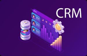 custom crm development service