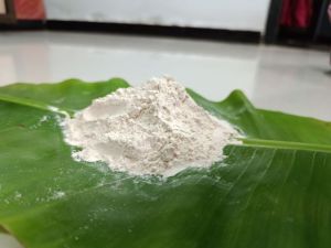 Green Banana Flour