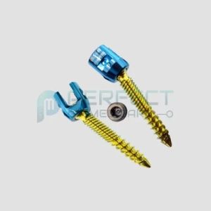 poly axial screw