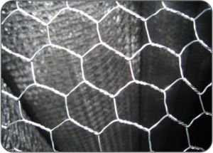 Hexagonal Mesh