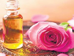 Rose Oil