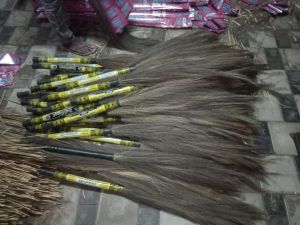 Broom Grass