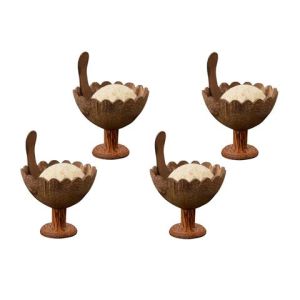 Handmade Coconut Shell Dessert Cup with Spoon Set of  4