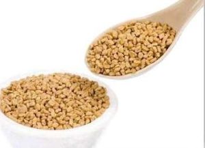 Fenugreek Seeds