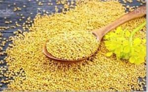 Yellow Mustard Seeds