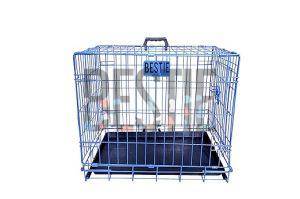 D-Crate 24 Inch Blue Dog Cage