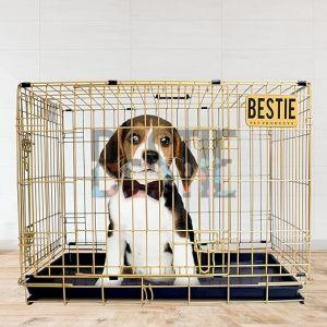 D-Crate 36 Inch Golden Dog Cage