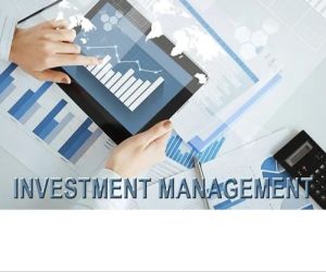 investment management services