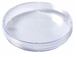 Quartz Glass Petri Dish