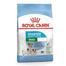 Starter Dog Food