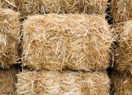 Paddy Straw Bales