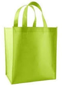 Non Woven Bag