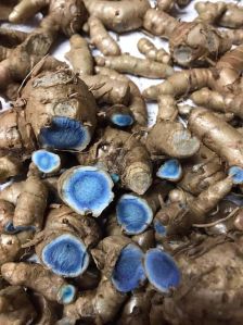 Organic Black Turmeric