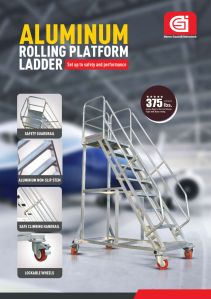 Aircraft Ladder