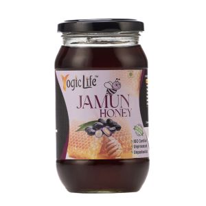 500g Jamun Honey