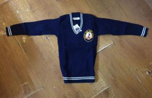 Blue School Sweater