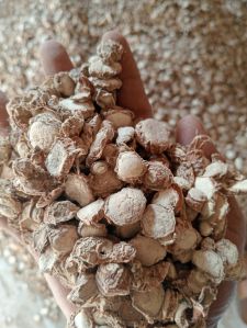 Kapoor Kachri ( Zedoary Roots)