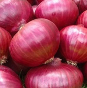 Red Onion