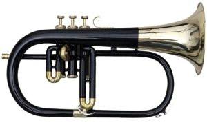 Three Valve Coloured Flugelhorn