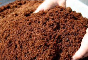 cocopeat powder