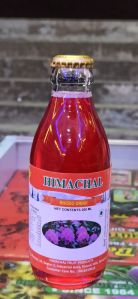 Himachal Rhodo Drink
