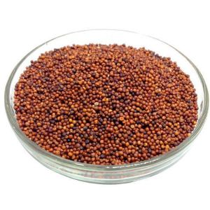 Finger Millet Seeds