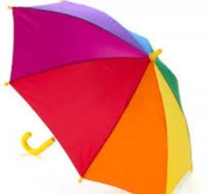 Bi-Color Two Fold Umbrella