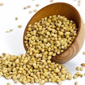 Coriander Seed