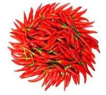 Red Chilli