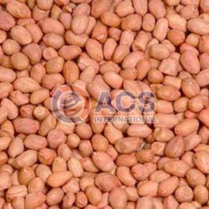 140/160 Java Groundnut Kernel