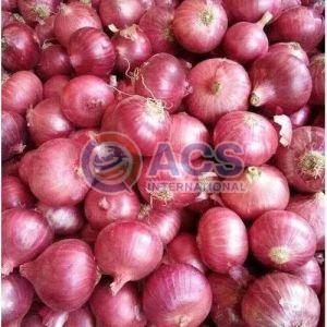 Fresh Nasik Onion