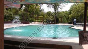 Swimming Pool Consultation Service