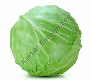 High Quality Cabbage