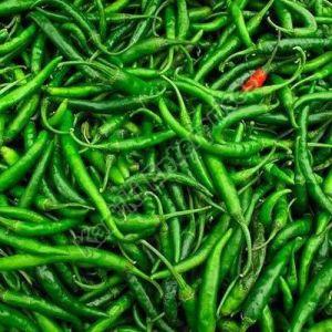 Indian Green Chilli