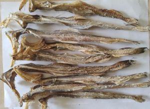 Dried Bombay Duck