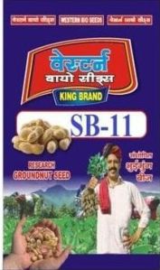 SB-11 Groundnut Seeds