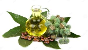 Castor Oil Usp Grade