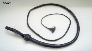 Black Leather Whip