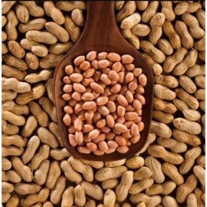 Brown Small Groundnuts