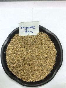 Cumin Seeds