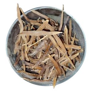 Organic Shatavari Root
